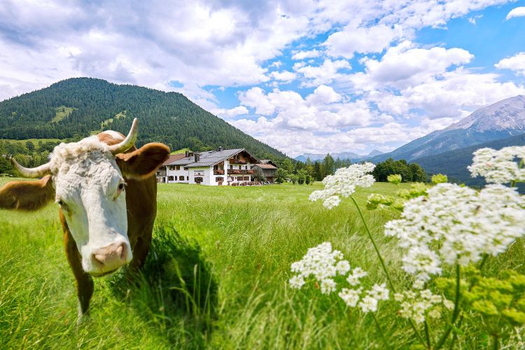 Berchtesgadener Land Ramsau